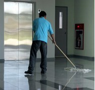 Mint Professional Cleaning Services 357631 Image 7